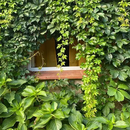 Chez Titia ホテル *